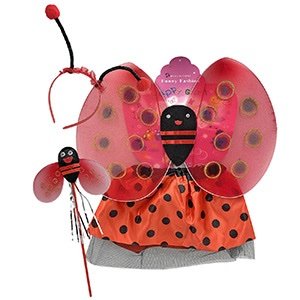 Σετ αμφίεσης πασχαλίτσας